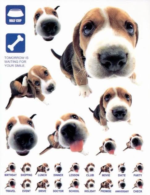 Sticker sheet of fisheye-lens beagle puppy photos, with small labeled stickers like Birthday, Lunch and Party